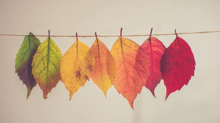 leaves-change.jpg