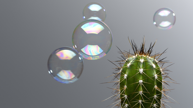 bubbles-cactus.jpg