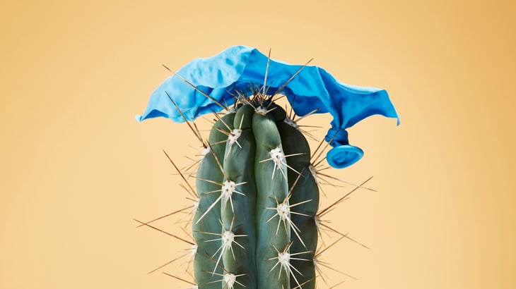 deflation-cactus.jpg
