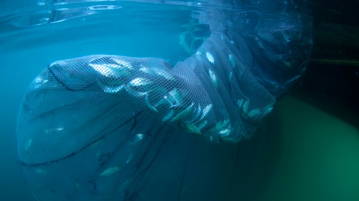 Calling time on subsidised overfishing
